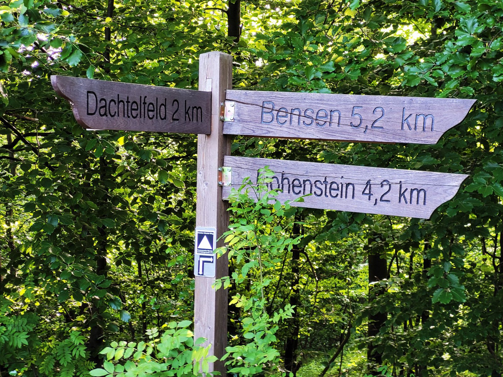 Unterwegs im mystischen Süntel mit Süntelturm, NATOStützpunkt